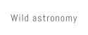 Wild astronomy